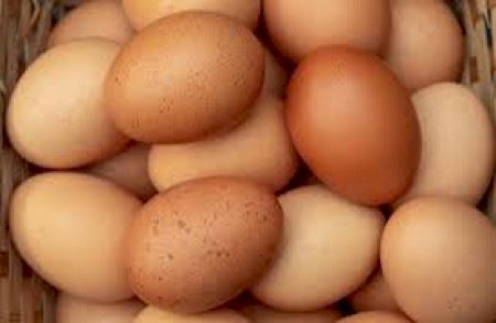 Picture for category Eggs