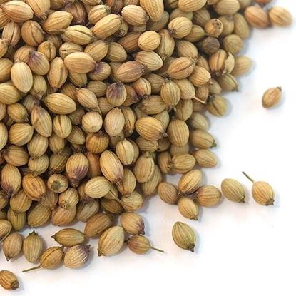 Picture of Corriander, Whole 1Kg