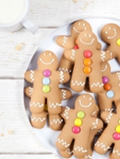 Picture of SBN Cookie - Ginger Megs