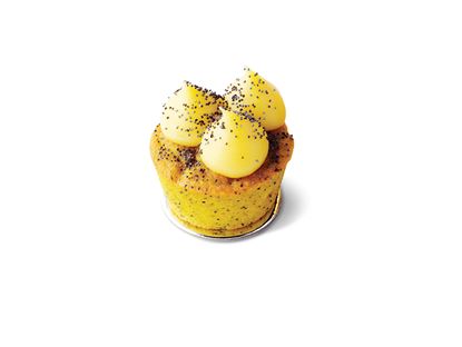 Picture of TC 2.5" Flourless Lemon Poppyseed (GFR)