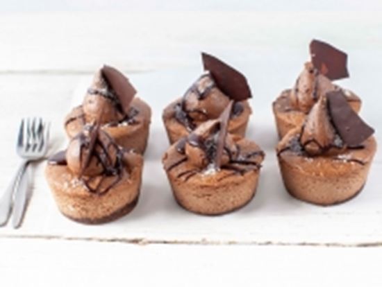 Picture of SBN Reg - Toby's Chocolate CC (GFR)