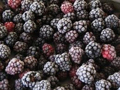 Picture of Frozen, Blackberries 1Kg