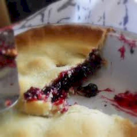 Picture of Filling, Blackcurrant 20Kg Puratos