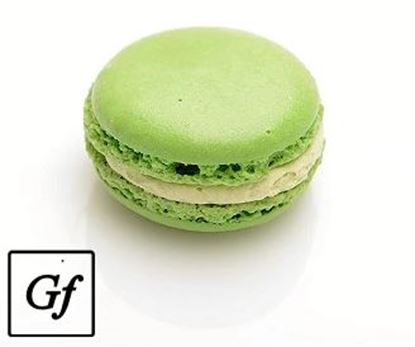 Picture of MP Macaron - Classic Pistachio GFR