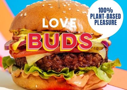 Picture of Vegan Buds Burger 36 x125g