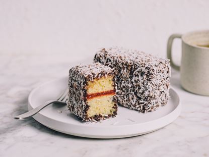Picture of SBN Lamington - Chocolate