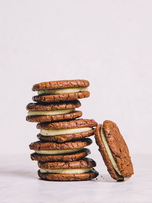 Picture of SBN Brookie - Vanilla Bean GFR