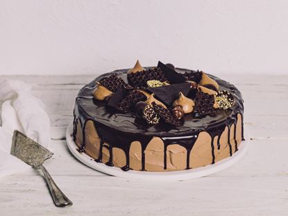 Picture of SBN 12" Mississippi Mud (GFR)