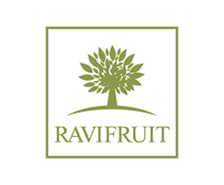 Picture for category Fruit Puree