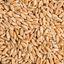 Picture of Spelt Grain, 1Kg