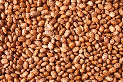 Picture of Beans, Pinto 1Kg
