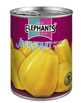 Picture of Jackfruit 565g (24)