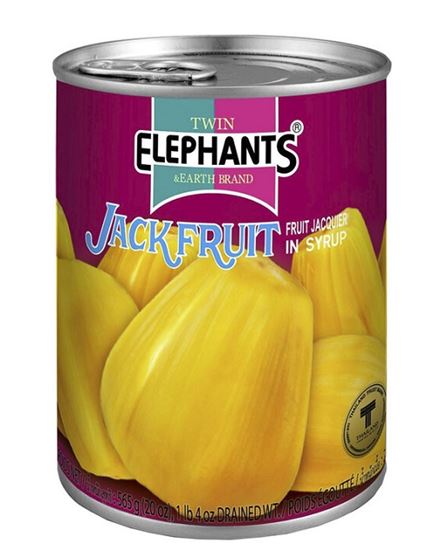Picture of Jackfruit 565g (24)