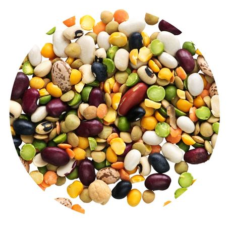 Picture for category Beans