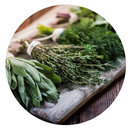 Picture for category Herbs