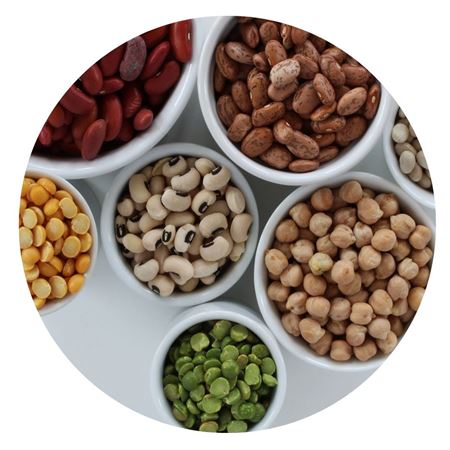 Picture for category Legumes