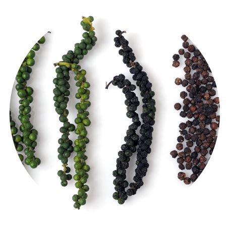 Picture for category Pepper