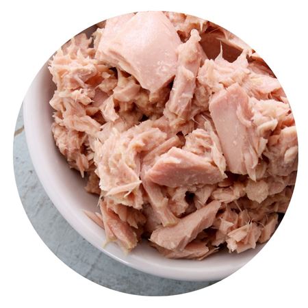 Picture for category Tuna & Salmon