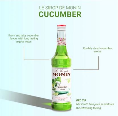 Picture of Monin Syrup - Cucumber 700ml (6)