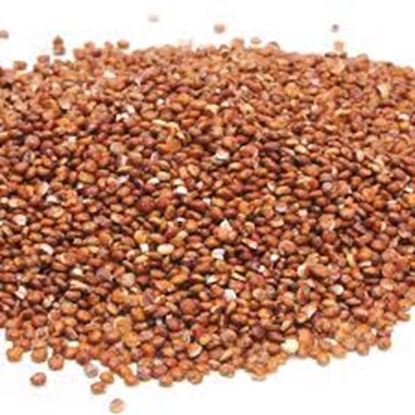 Picture of Quinoa, Red 25Kg (BULK)